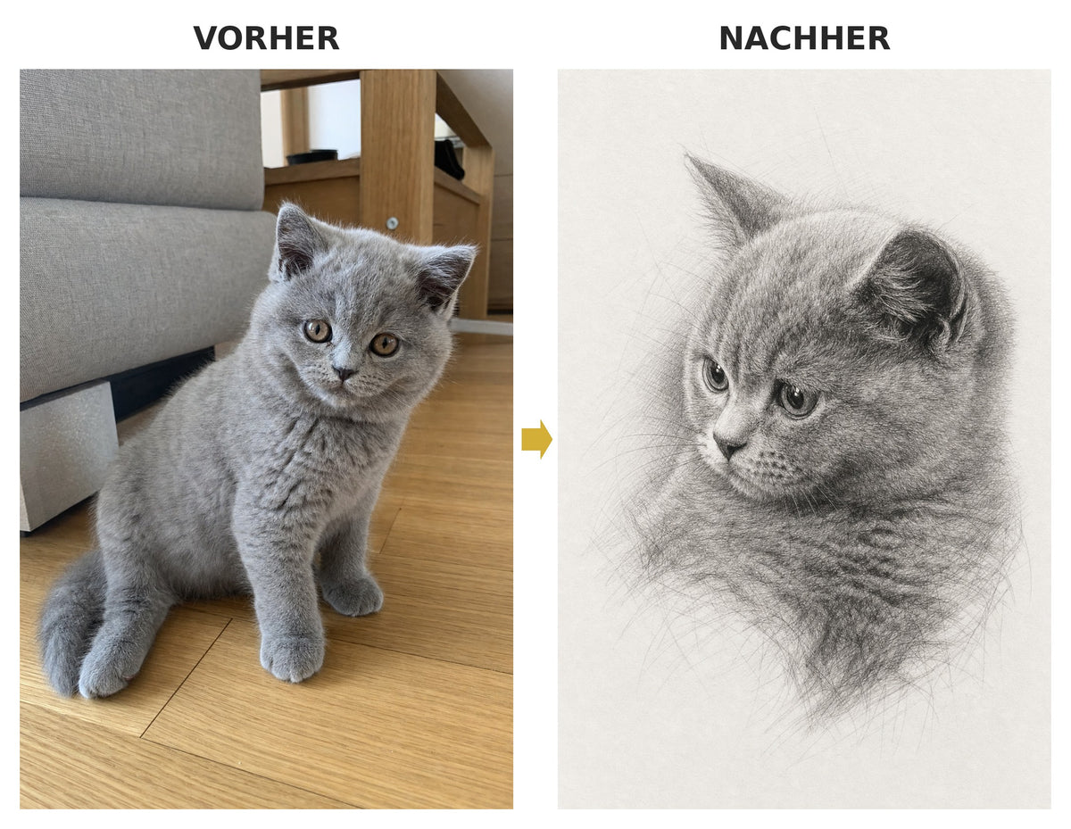 Vorher-Nachher: Bleistiftskizze-Stil