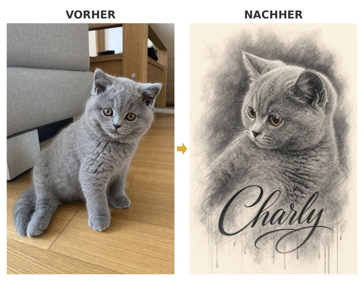 Vorher-Nachher: Bleistiftskizze