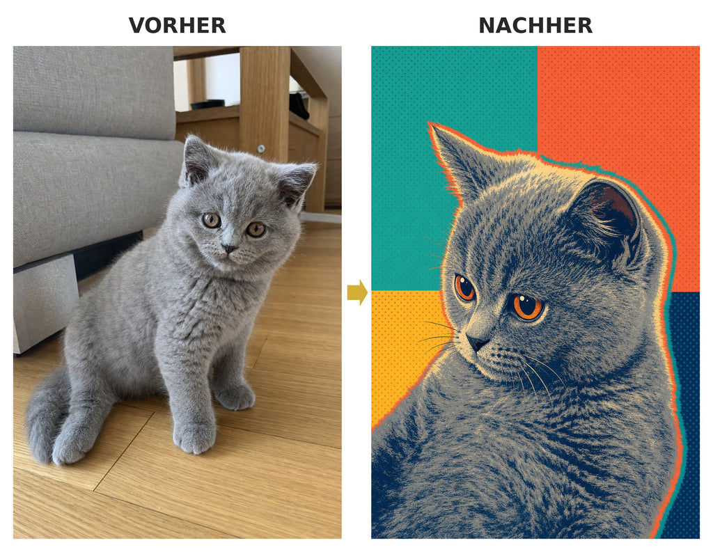 Vorher-Nachher: Pop-Art-Stil
